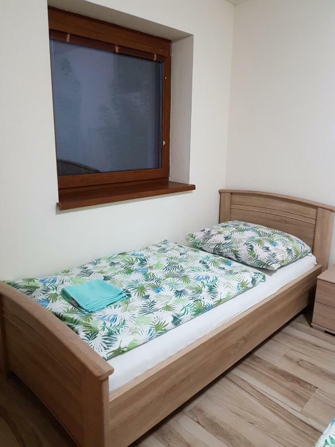Apartmany Bystra-Chopok 布雷兹诺 外观 照片